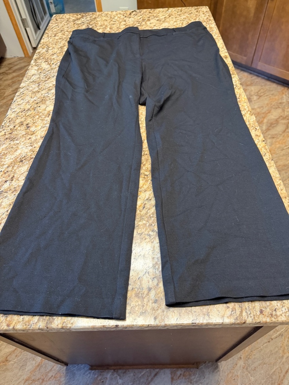 Lane Bryant Black Pull-On Stretch Pants